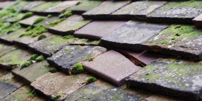 Belluton roof repair costs